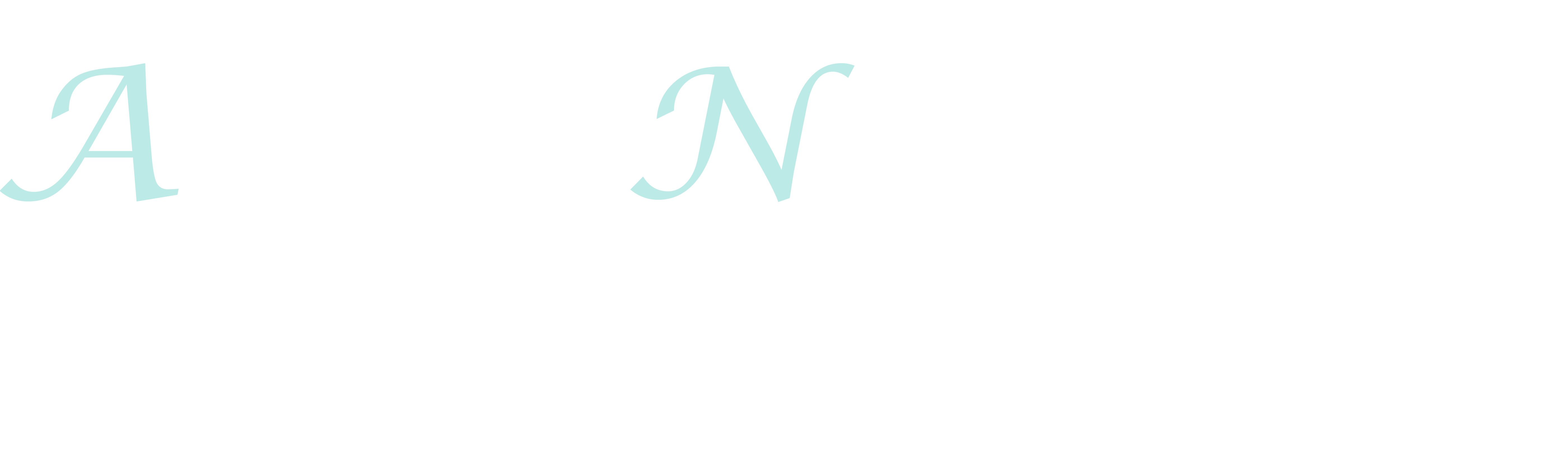 Alena Nováková Photography